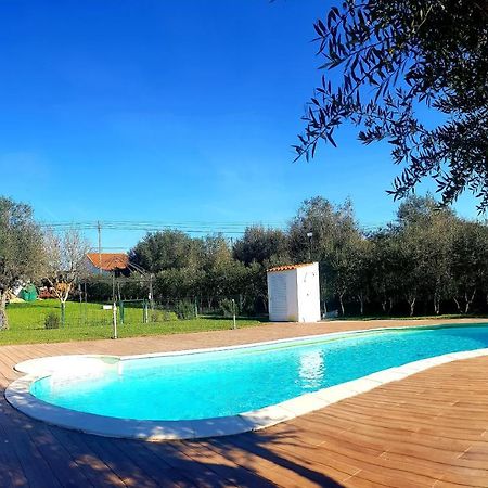 Oliveira Country House Figueira e Barros Exteriör bild
