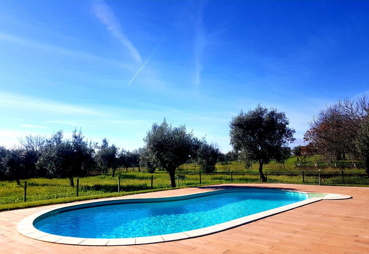 Oliveira Country House Figueira e Barros Exteriör bild