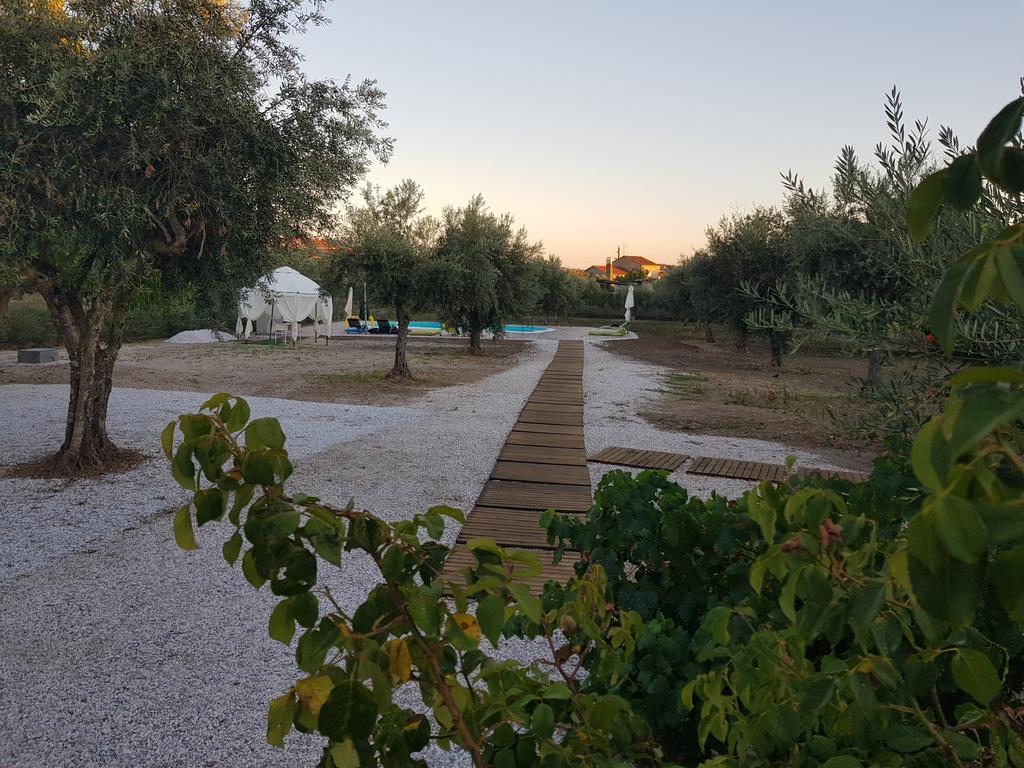 Oliveira Country House Figueira e Barros Exteriör bild